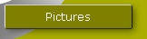 Pictures