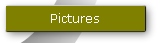 Pictures