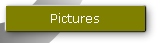 Pictures
