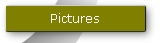 Pictures