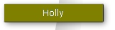Holly